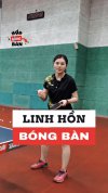 Linh Hồn của bóng bàn Phần 2-Cover.jpg