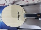 IMG_7105.jpeg