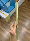 IMG_1008.jpeg