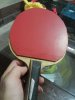 20151202_1153575.jpg