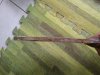 20160419_140619.jpg